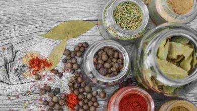Cara Mengawetkan Makanan Tanpa Kulkas