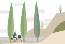 5 Manfaat Bersepeda Bagi Kesehatan Tubuh, Cegah Insomnia