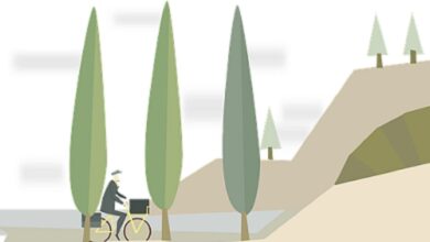 5 Manfaat Bersepeda Bagi Kesehatan Tubuh, Cegah Insomnia