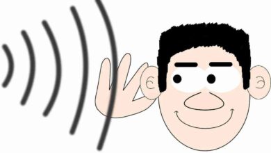 Berikut Ini! Cara Keja Telinga dan Cara Merawatnya