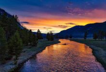 10 Daftar Sungai Terpanjang di Dunia, Indonesia ada?