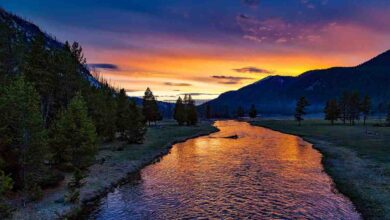 10 Daftar Sungai Terpanjang di Dunia, Indonesia ada?