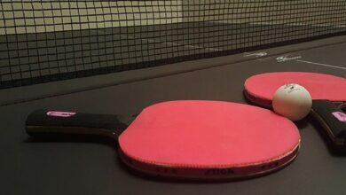 Pengertian Tenis Meja, Teknik, Peraturan dan Sejarahnya