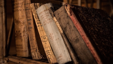Novel Sejarah : Pengertian, Struktur, Ciri dan Lainnya