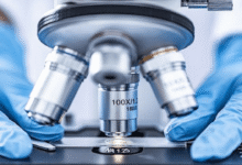 Perbedaan Sel Hewan dan Sel Tumbuhan Serta Persamaannya