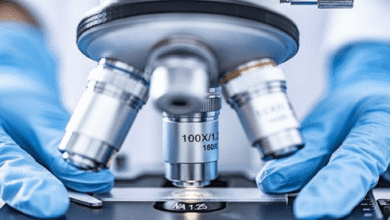 Perbedaan Sel Hewan dan Sel Tumbuhan Serta Persamaannya