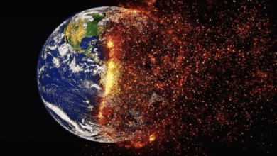 Penyebab Perubahan Iklim Faktor, Solusi, dan Pengertian