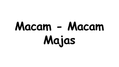 Macam-Macam Majas Beserta Penjelasan dan Contoh