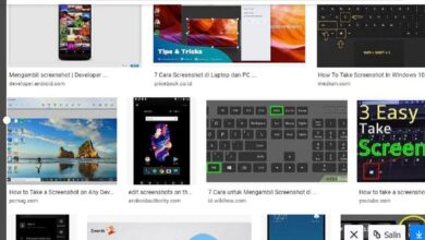 Mudah ! Cara Screenshot di Laptop atau PC