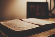 Pengertian Majas Personifikasi, Fungsi dan Contohnya