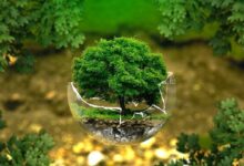 Pengertian Lingkungan, Jenis, Hingga Cara Melestarikannya