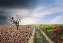 5 Manfaat Tumbuhan Bagi Manusia dan Hewan di Bumi