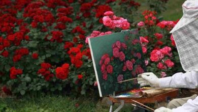 Pengertian Seni Lukis, Tujuan, Teknik, Alat dan Bahan