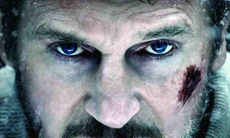 Sinopsis Film The Grey (2011), Pembalasan Sang Serigala!