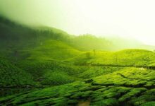 13 Rekomendasi Tempat Wisata Alam Bandung Raya, Segar!