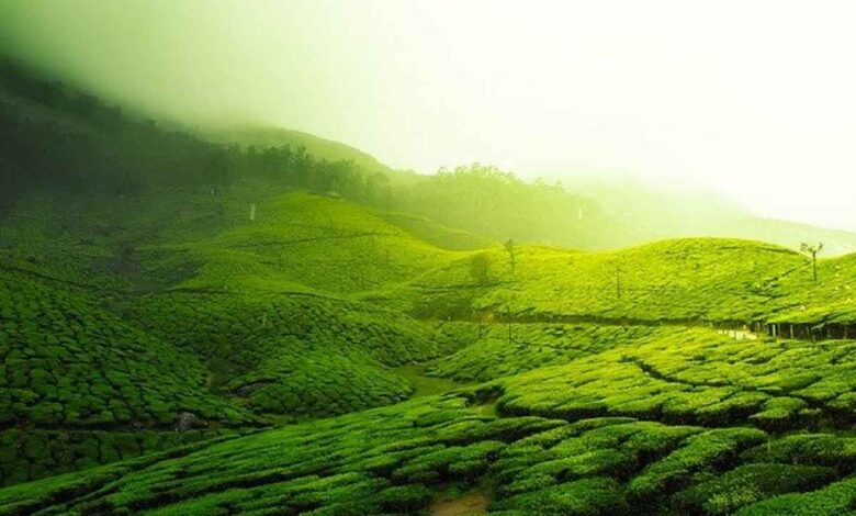 13 Rekomendasi Tempat Wisata Alam Bandung Raya, Segar!