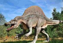 Urutan Zaman Praaksara dan Pengertian Lengkapnya!