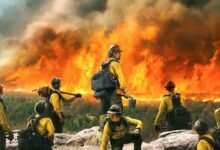 Sinopsis Film Only the Brave (2017), Kisah Petugas Damkar!