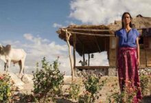 5 Film Thriller Indonesia Terbaik Dengan Cerita Luar Biasa!