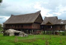 5 Rumah Adat Sulawesi Selatan, Gambar dan Makna Filosofis
