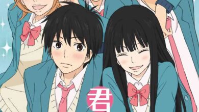 Kimi ni Todoke