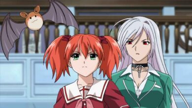 5 Rekomendasi Anime Harem yang Jarang Diketahui